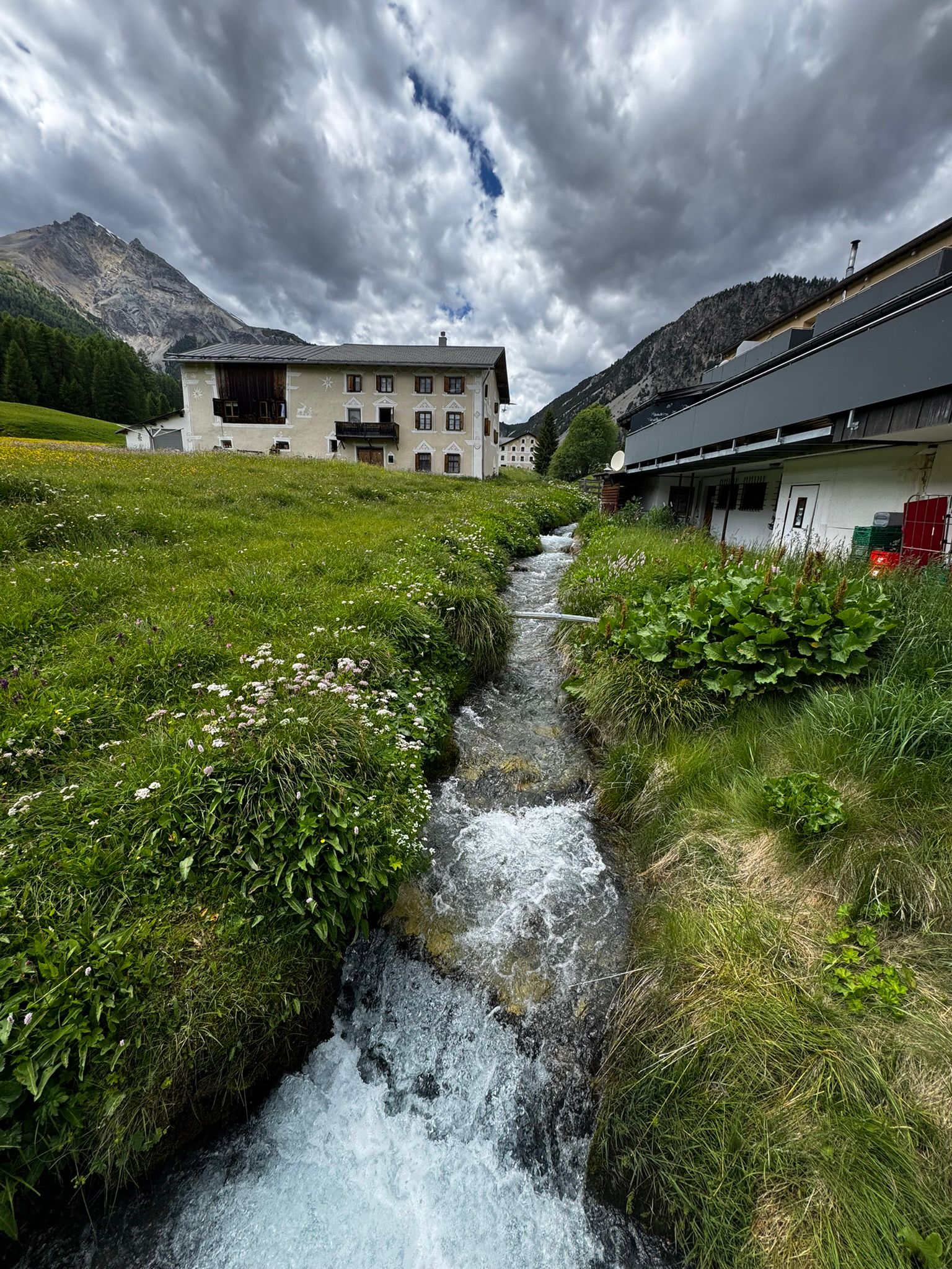 Gallery immagine: Passo dello Stelvio - 180