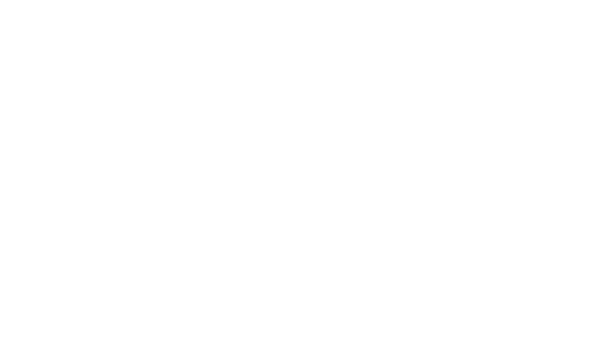 Action Moto